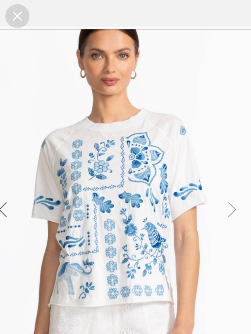 Johnny Was Lg Women’s White with Blue Floral Bird Print With Matching Shorts